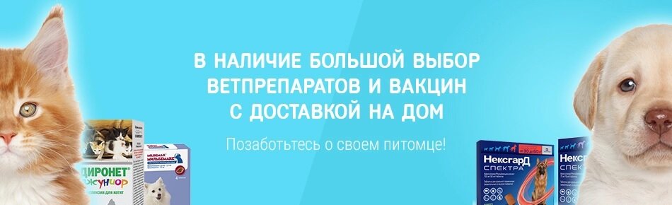 Зоосити | Ростов-на-Дону, Линейная ул., 8, Ростов-на-Дону